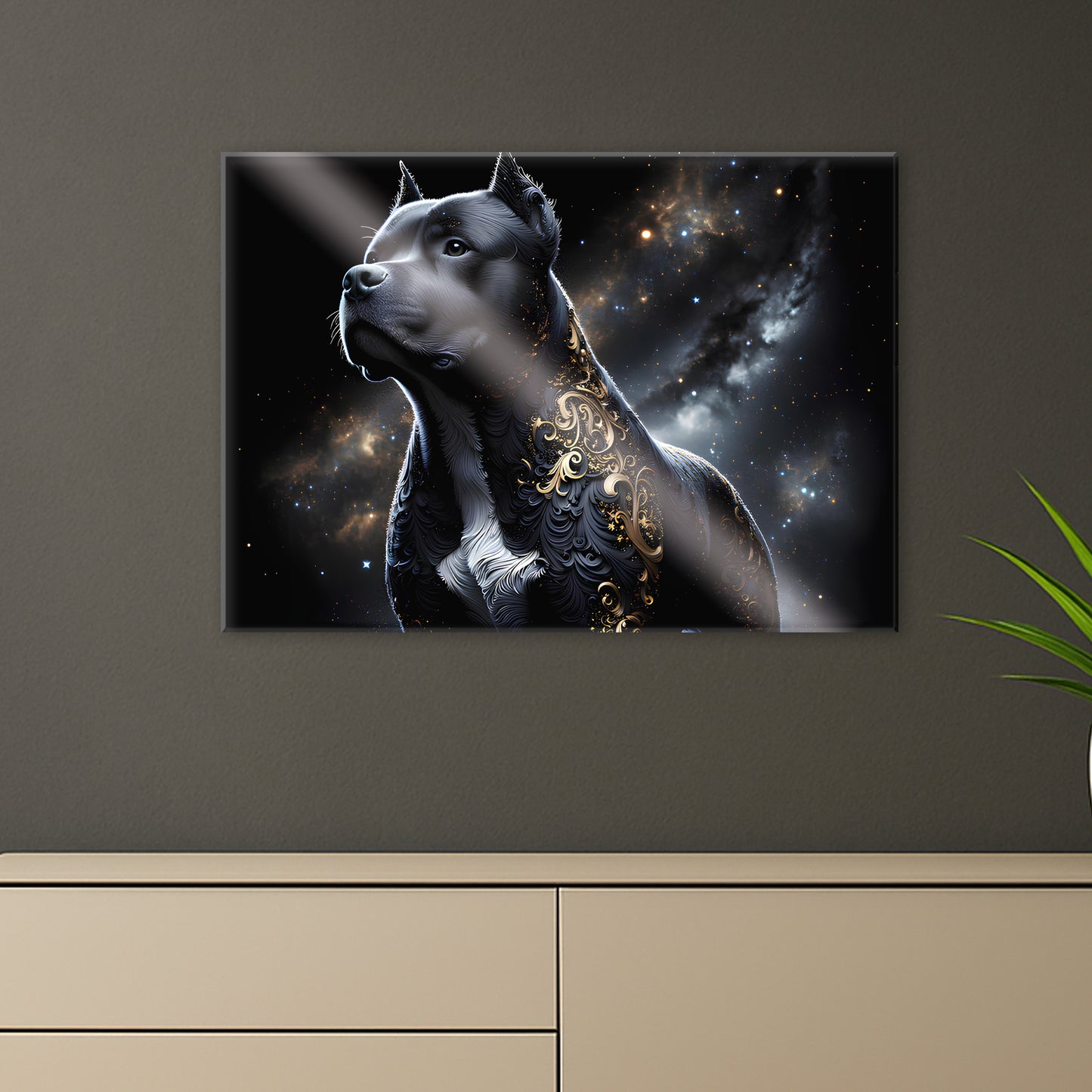 AmStaff Royal – Tableau Noir & Or