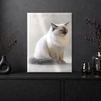 Portrait Souvenir - Cloud