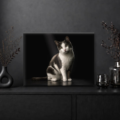 Portrait Souvenir - Dark