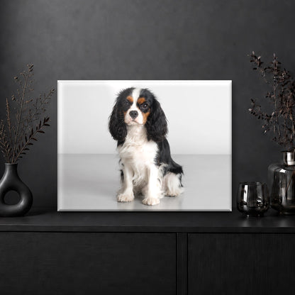 Portrait Souvenir - Light